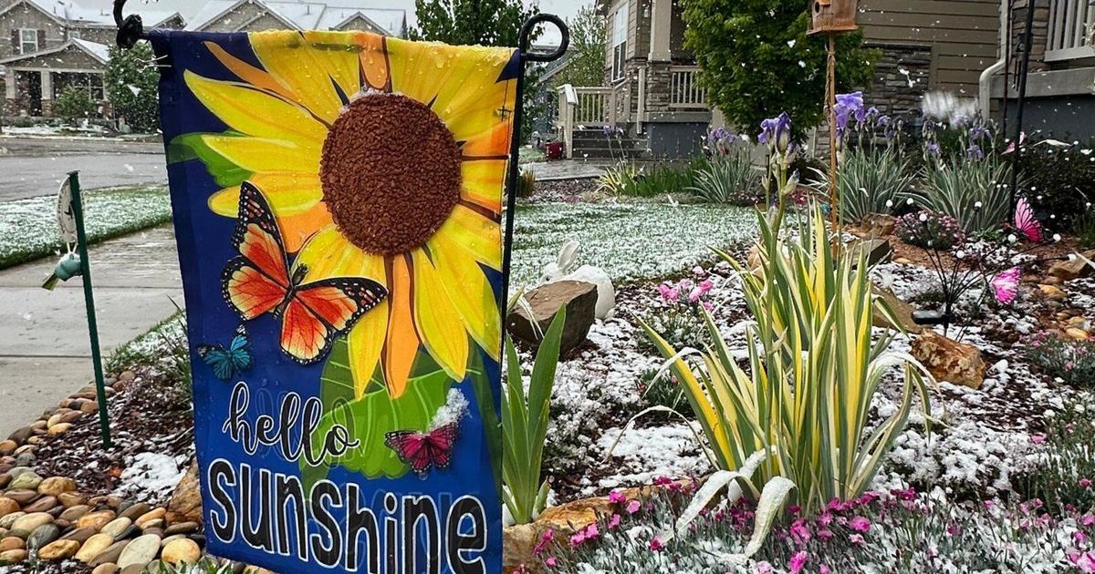 Springtime Denver Spring plans meet snow in Denver as a late storm could be the season's ...