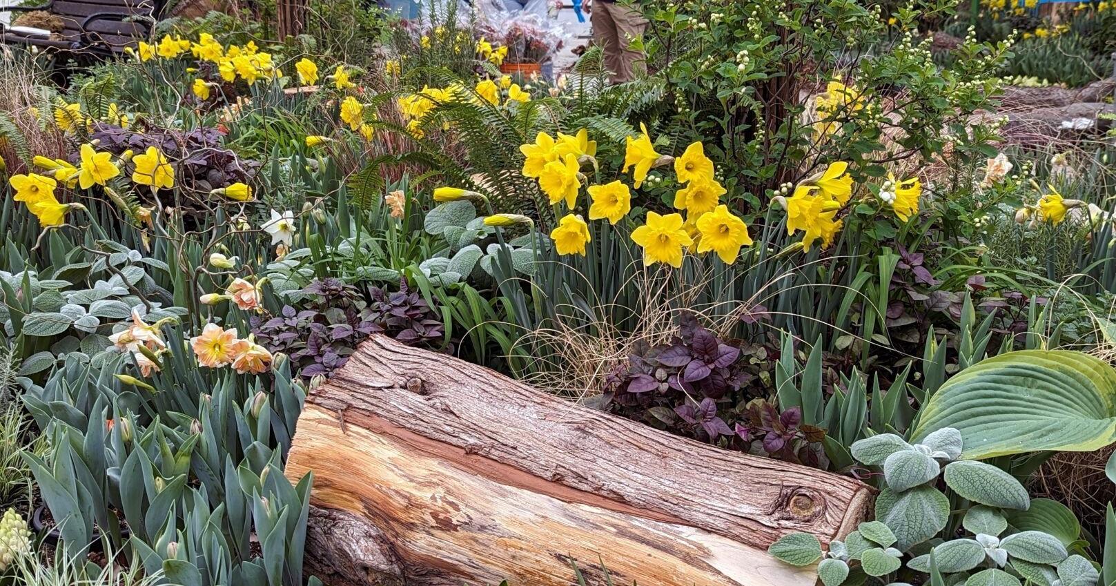 The (Spring) Tide has come in - Vimarsana News