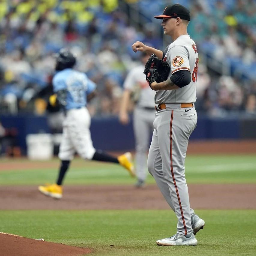 Bradley goes 6 strong innings and Rays beat Orioles 7-2 to split 2-game  series - Newsday