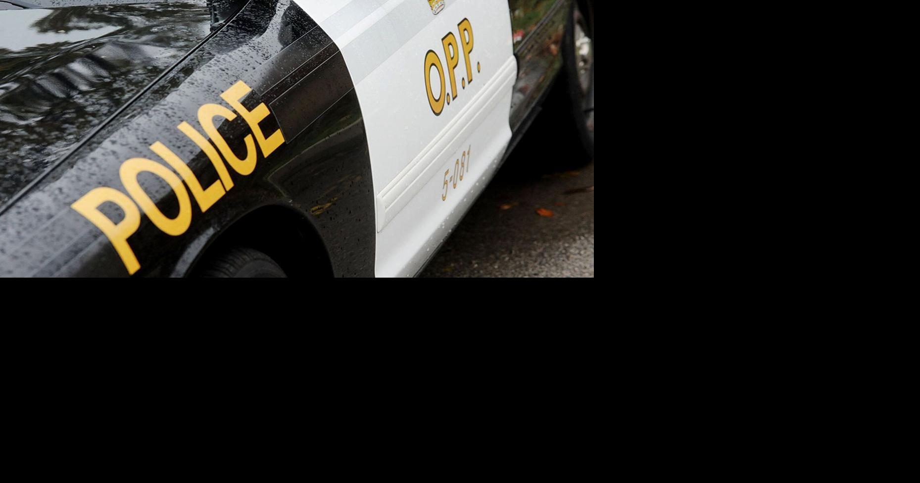Oshawa men nabbed after armed home invasion in Simcoe