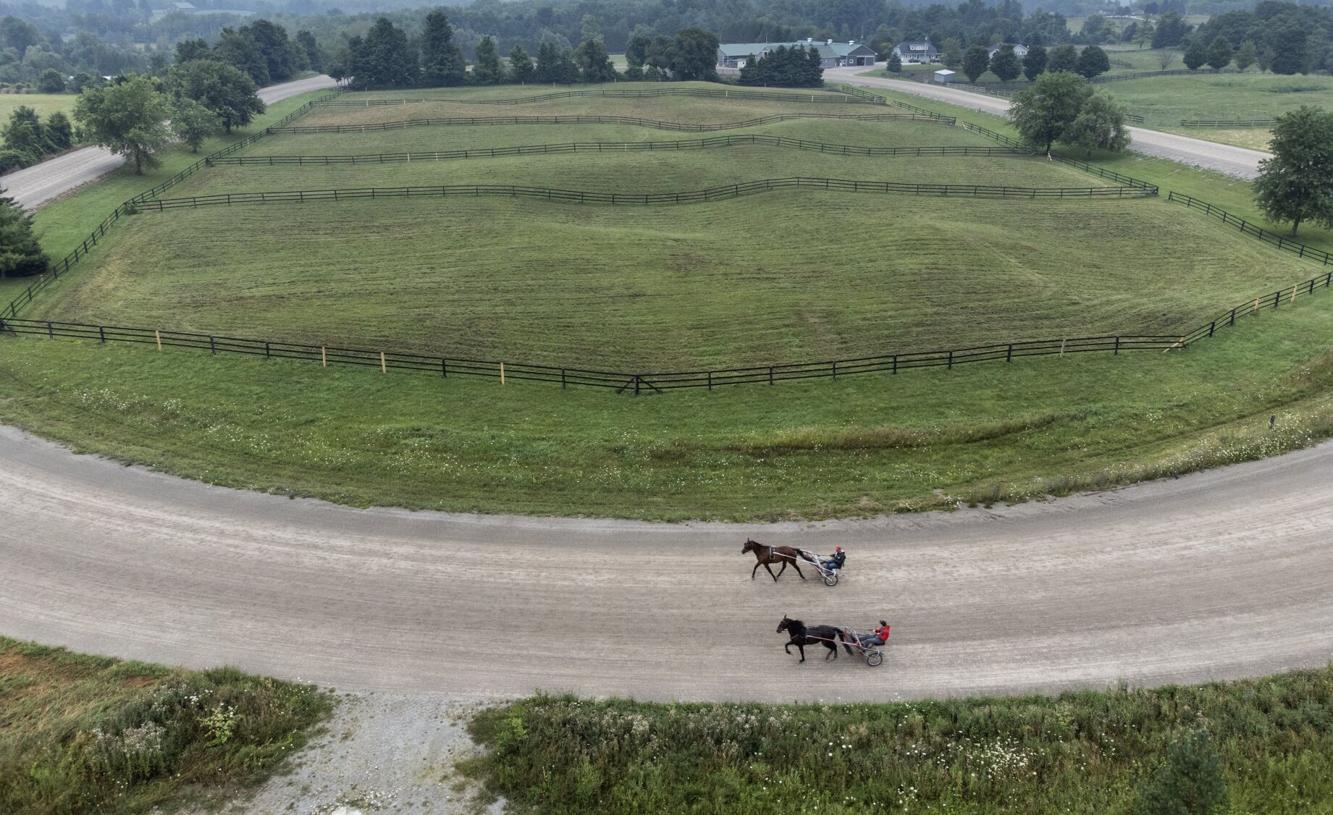 Racing Against the Odds: in-depth look at harness racing