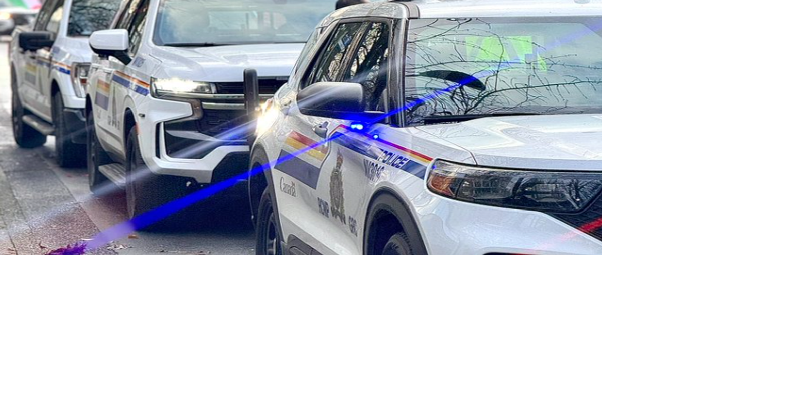 Report of man with gun prompted heavy police presence in Deep Cove ...