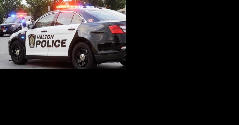 Sex toys stolen in Burlington Stag Shop break-in - Vimarsana News