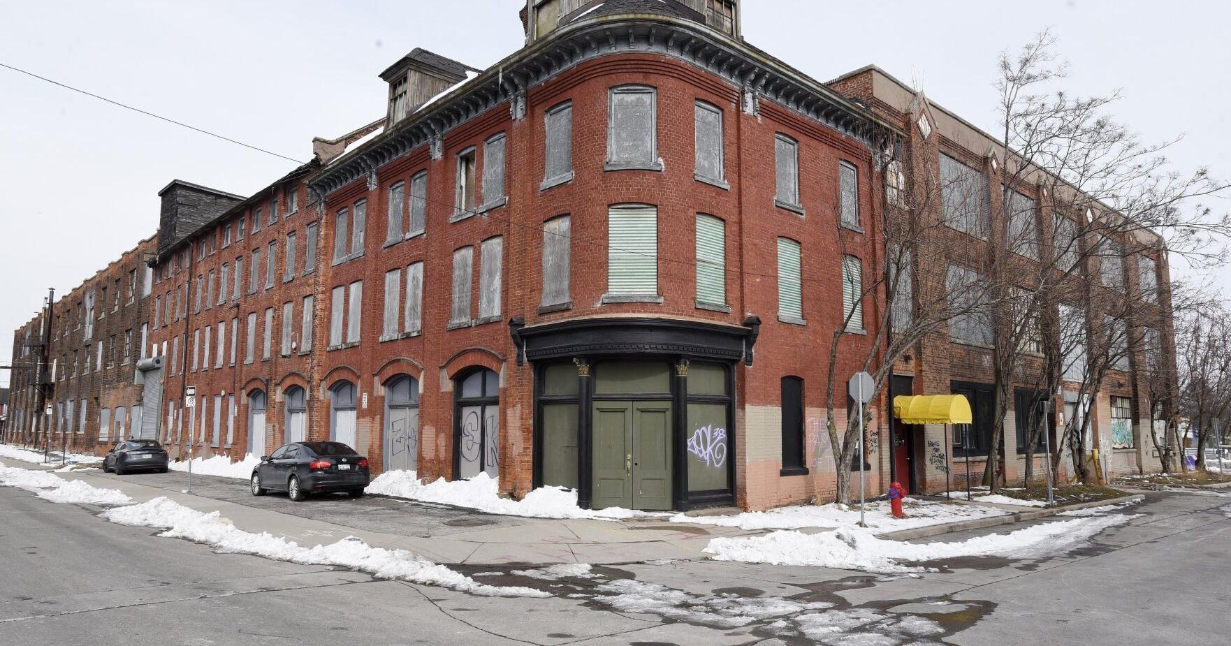 Hamilton urged to protect swifts at Cannon Knitting Mills