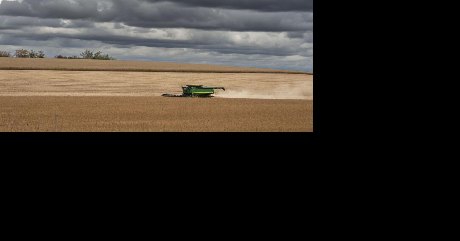 The rotten core of Canada’s food industry trust crisis