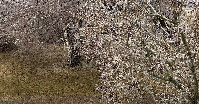 Hundreds of thousands still without power as ice storm moves east