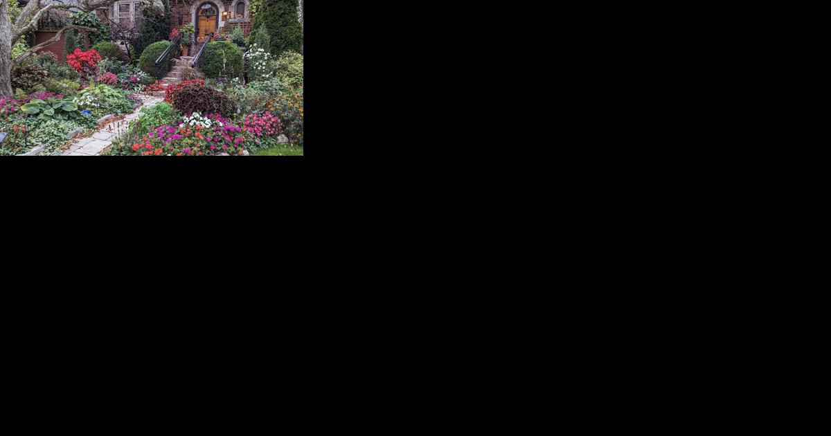 A garden check-in — six months later - Vimarsana News