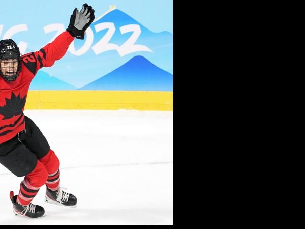 Hamilton Bulldogs unveil black and gold jerseys to honor city's hockey  history - The Hockey News