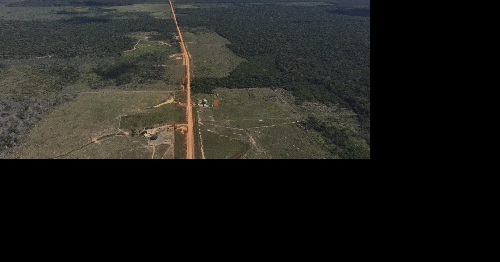 As UN climate talks loom, Brazil's Amazon forest loses in May an area ...