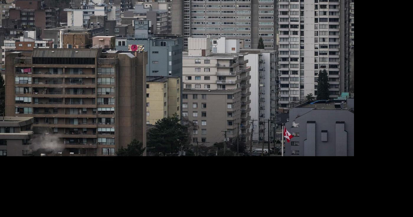 Skunk in downtown Vancouver that bit people tests positive for rabies