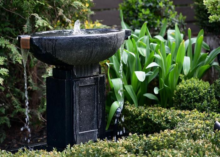 This Westdale garden is exploding with colour and plant passion