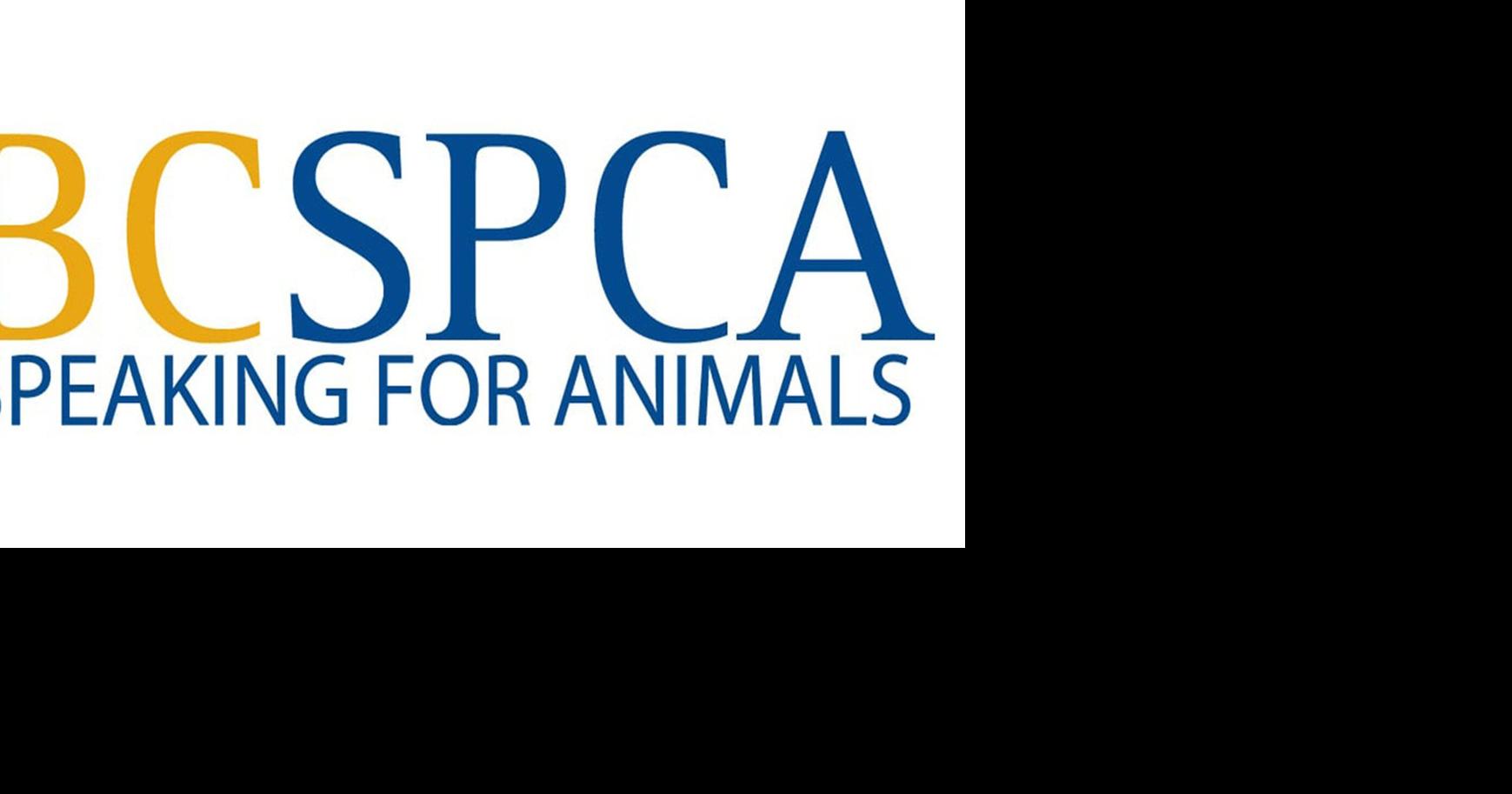 BC SPCA says dog kennel deal with City of Quesnel won't be renewed at ...