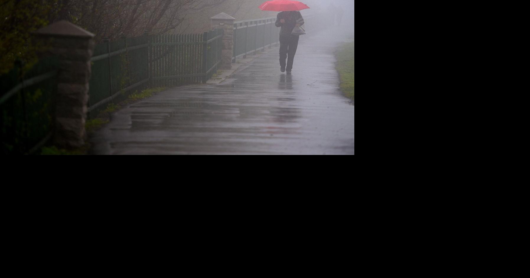 Hamilton could see up to 20 mm of rain Sunday
