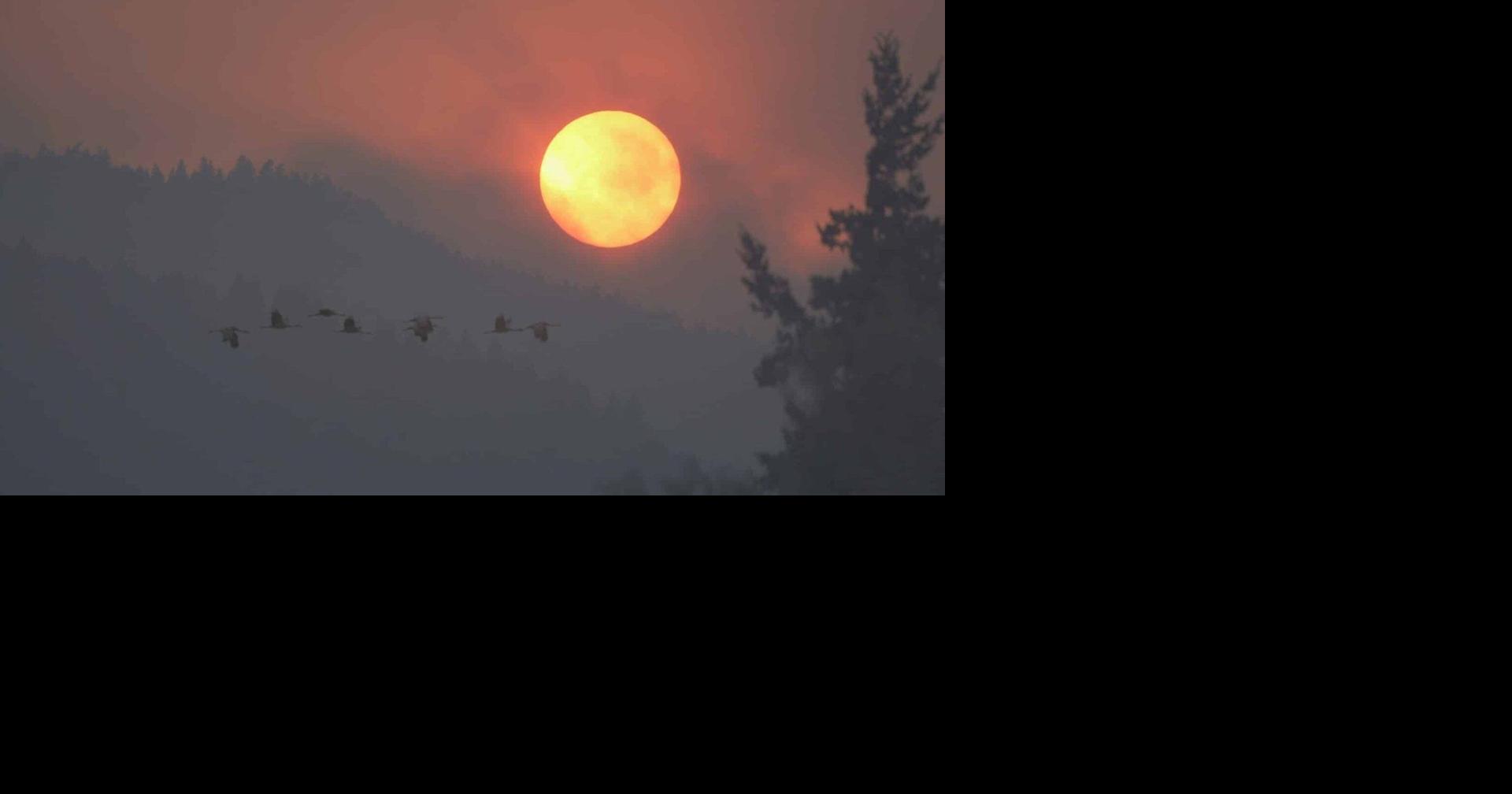 ‘I’ve just done what needed to be done:’ features women on the frontlines of climate disasters