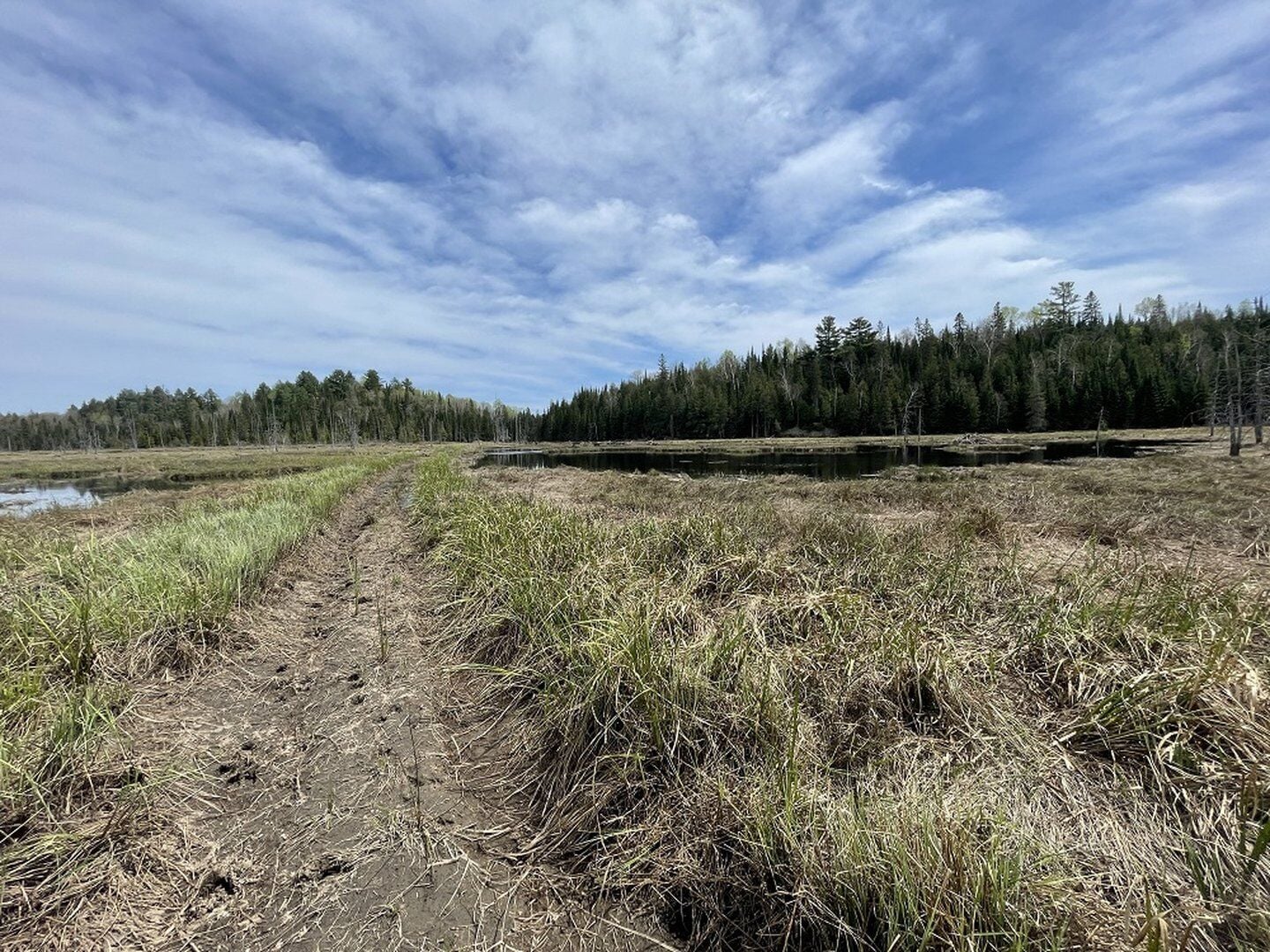 Highlands East rescinds approval of conservation plan for Dillman Trail