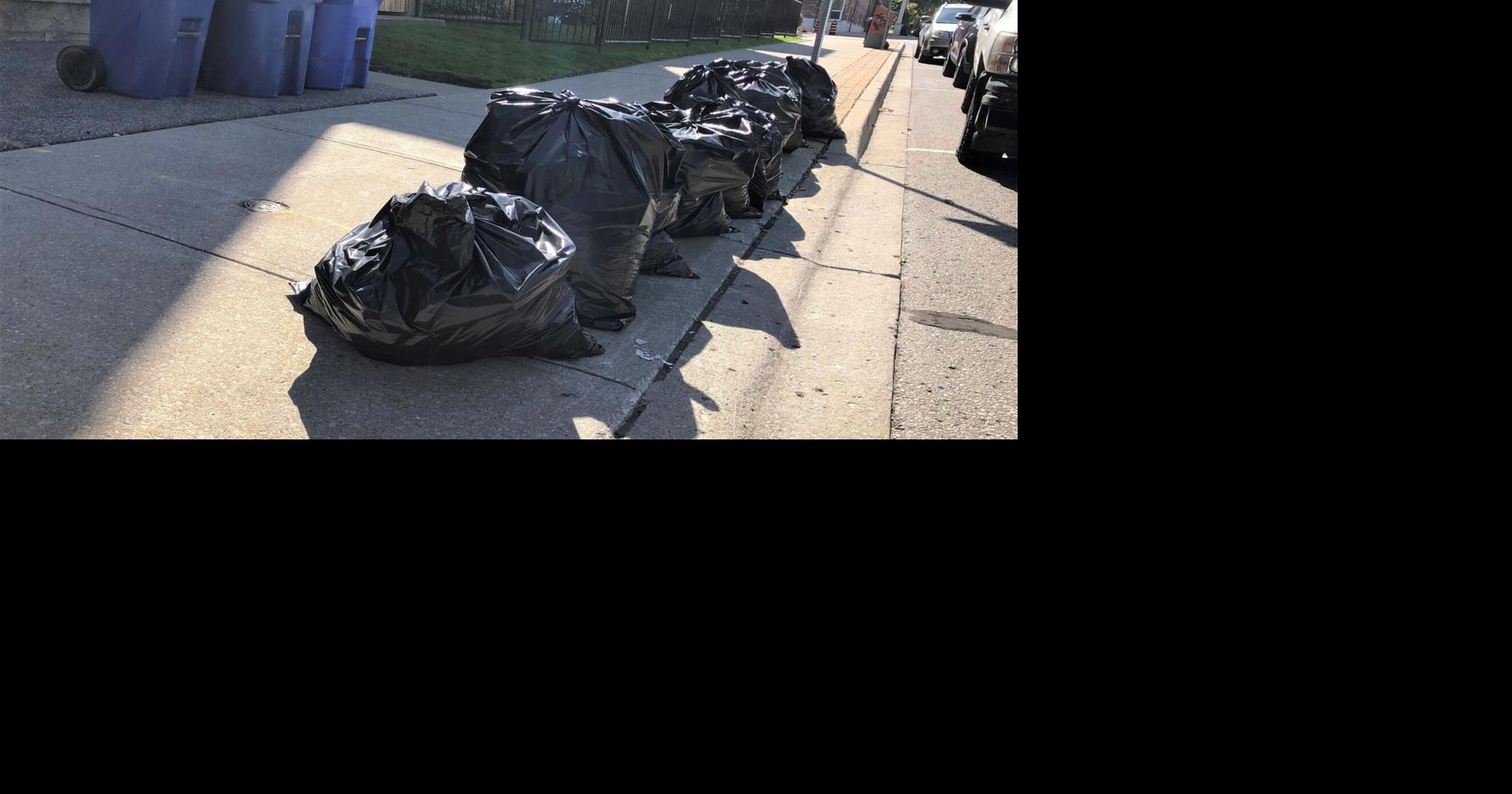 Norfolk council OKs unpopular green bin program