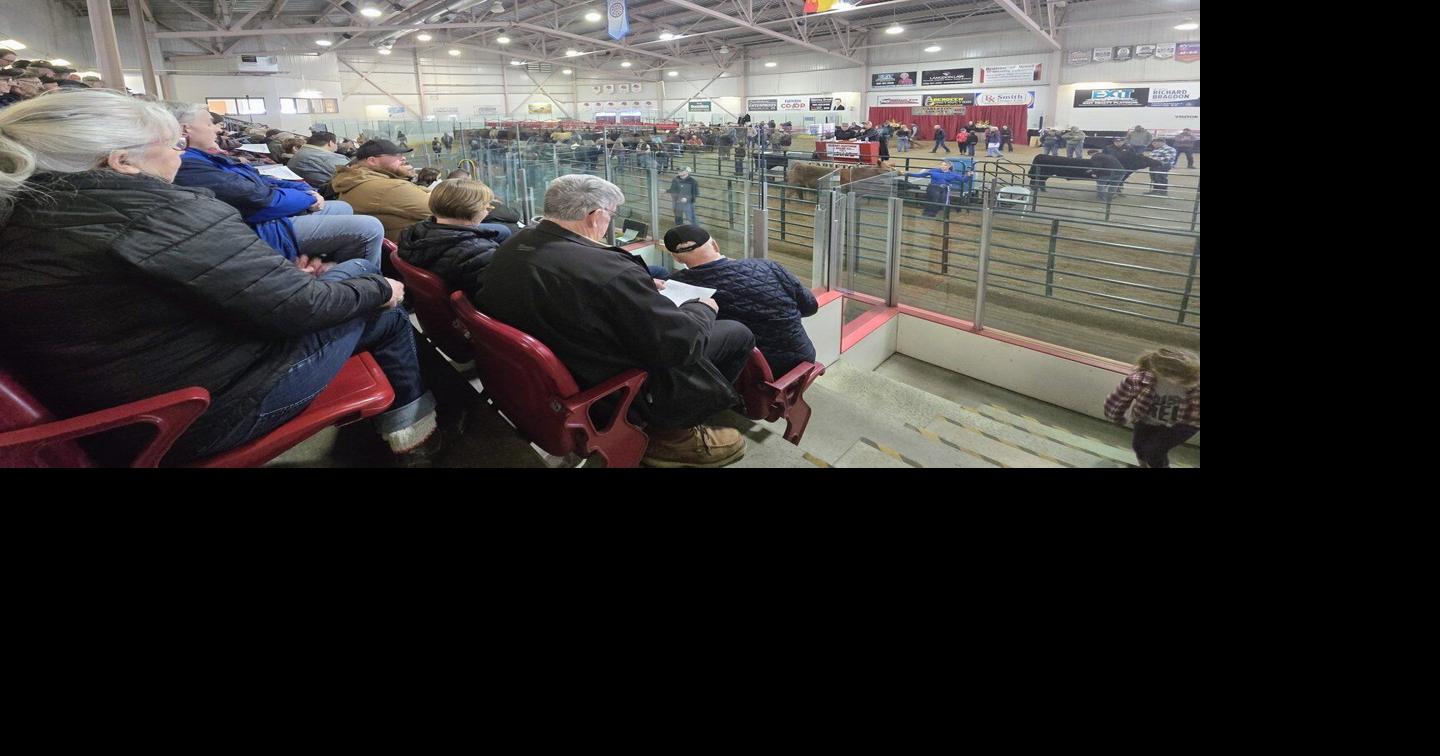 Record sales for 73rd Annual Carleton County Spring Show & Sale
