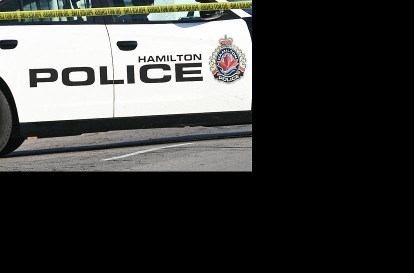 Article #03: Man Struck And Killed After Exiting Vehicle On Hamilton Mountain Highway