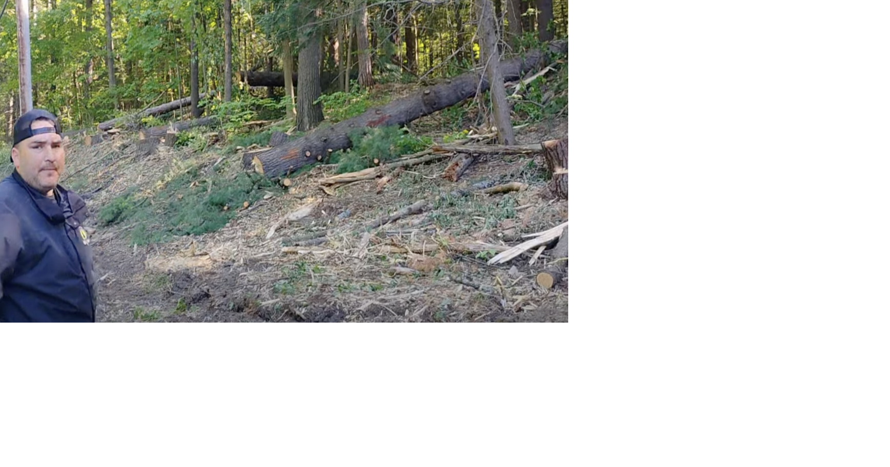 Mature trees cut near power lines in Kanesatake