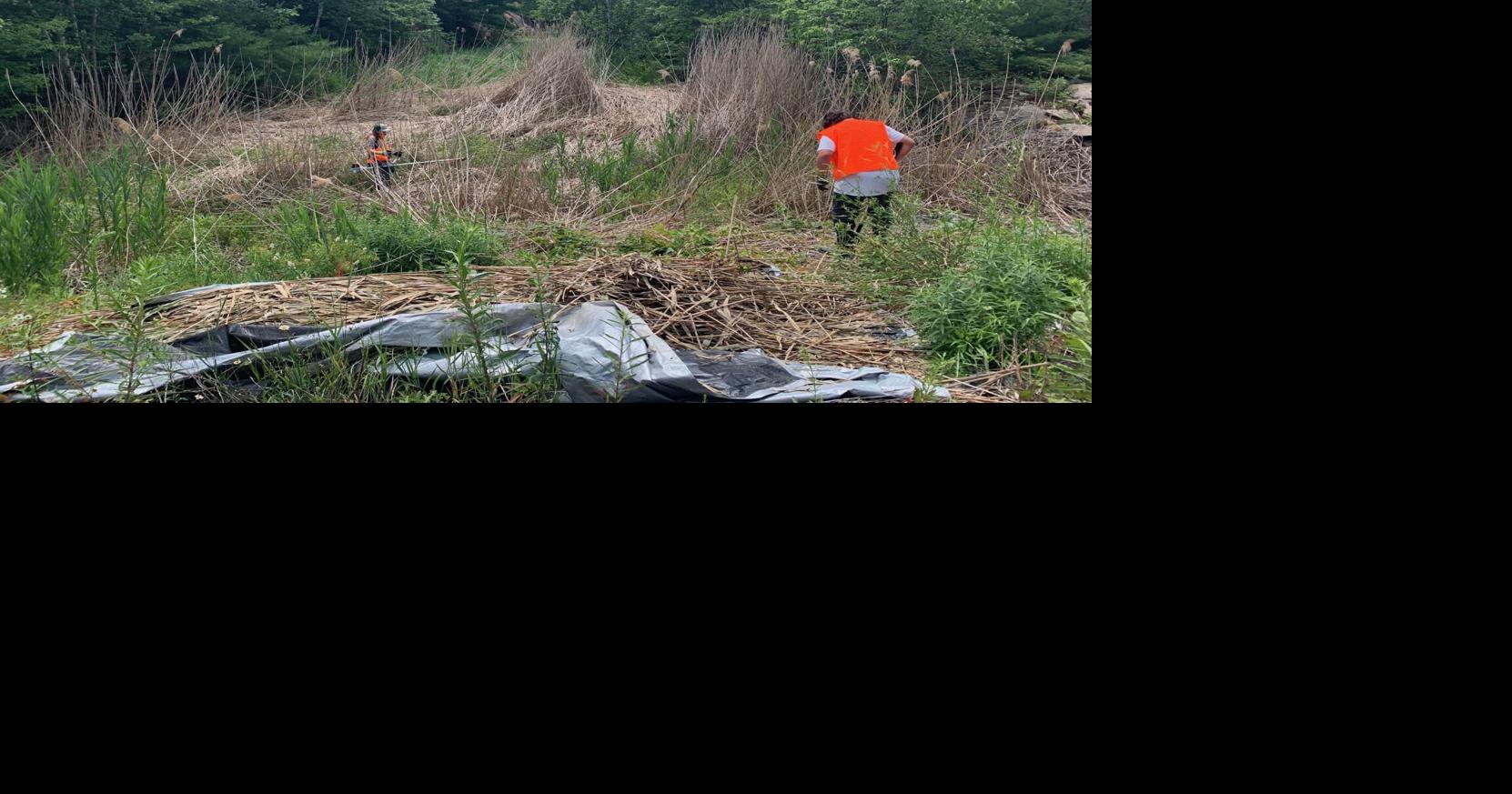 Shawanaga First Nation part of the province's historic investment in wetlands restoration