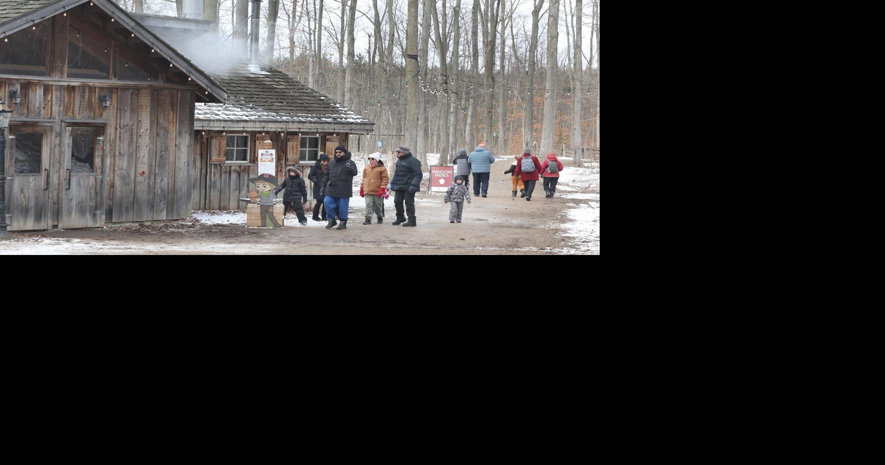 Sweet season returns at Mountsberg sugar bush