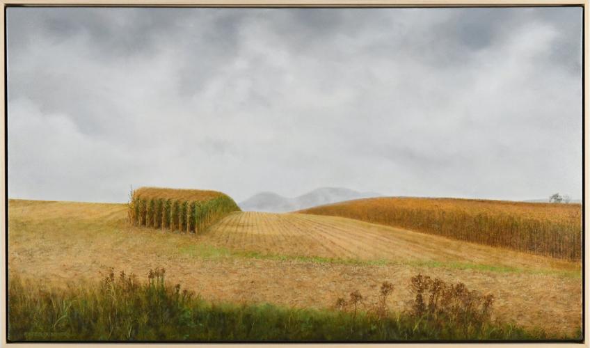 DVSA Art Auction: Getting to the art of the matter