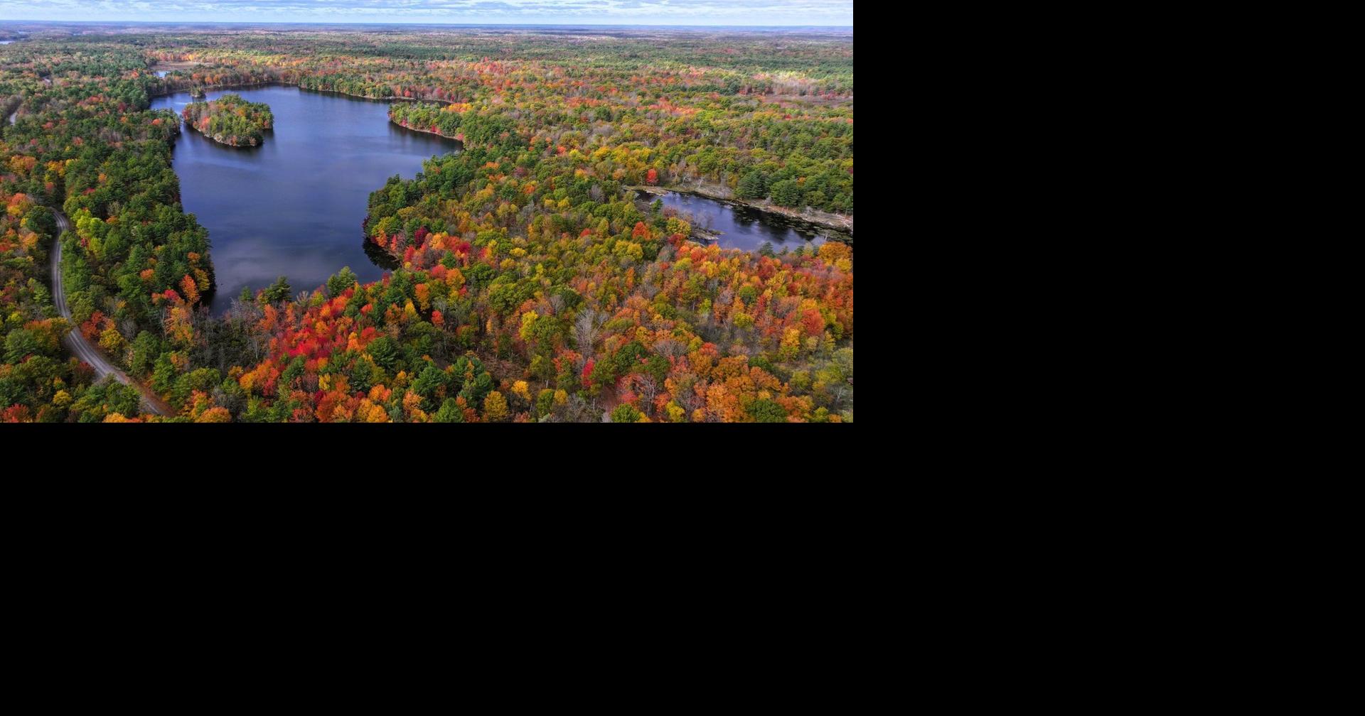 Nature Conservancy of Canada announce conservation of Kingston area land