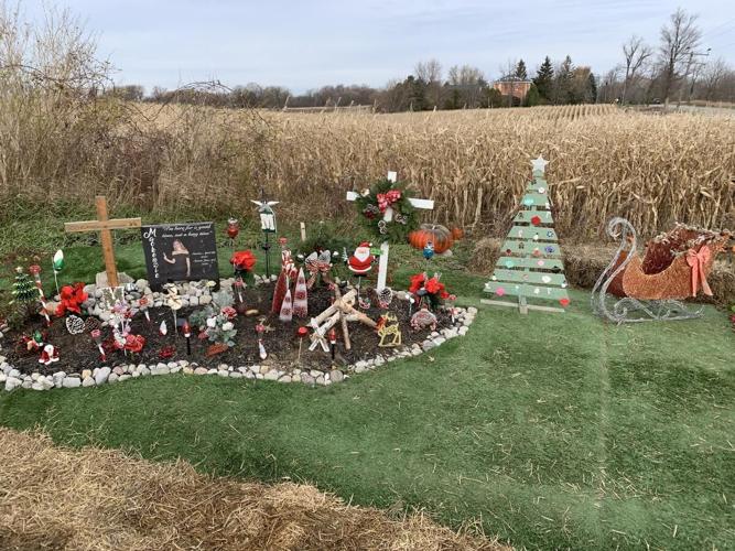 City of Hamilton orders Mackenzie Mann memorial removed, family wants
