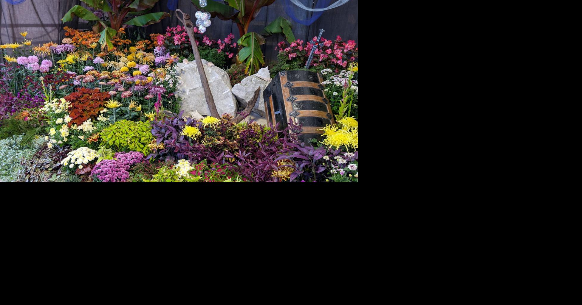 Dive into the mum show