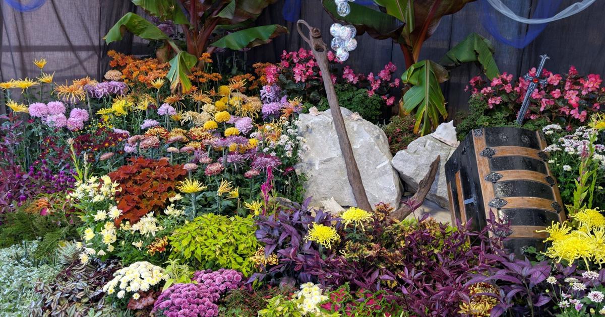 Dive into the mum show