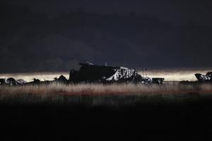 All 20 Turkish military personnel on the cargo plane that crashed in Georgia were killed