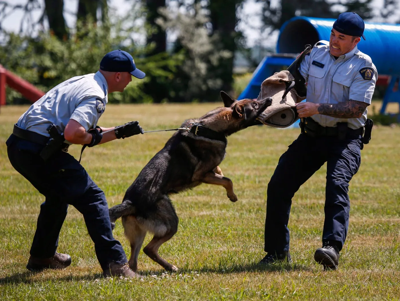RCMP paid nearly $1 million in settlements related to injuries caused ...