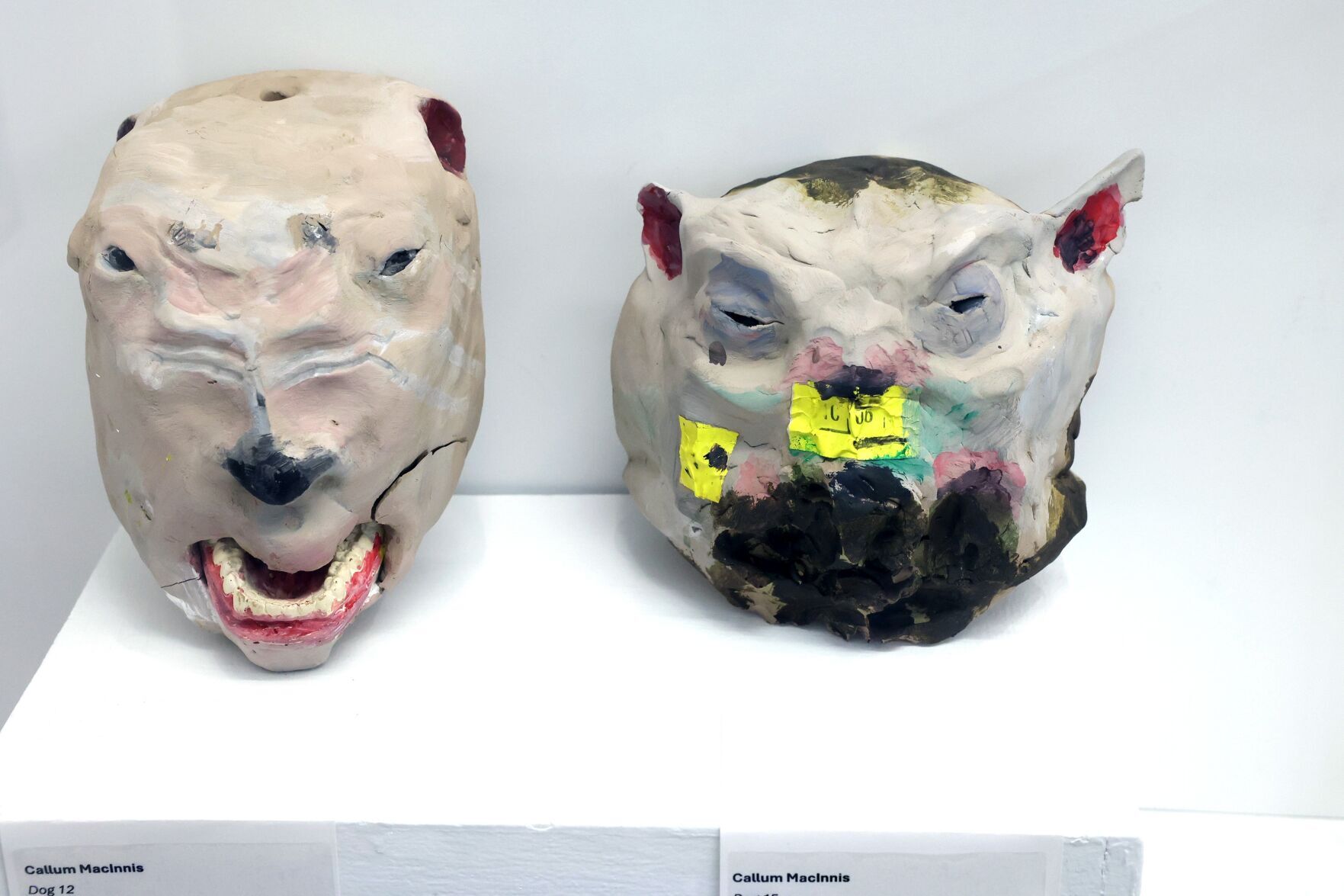 Teen Callum Macinnis lets his art do the talking