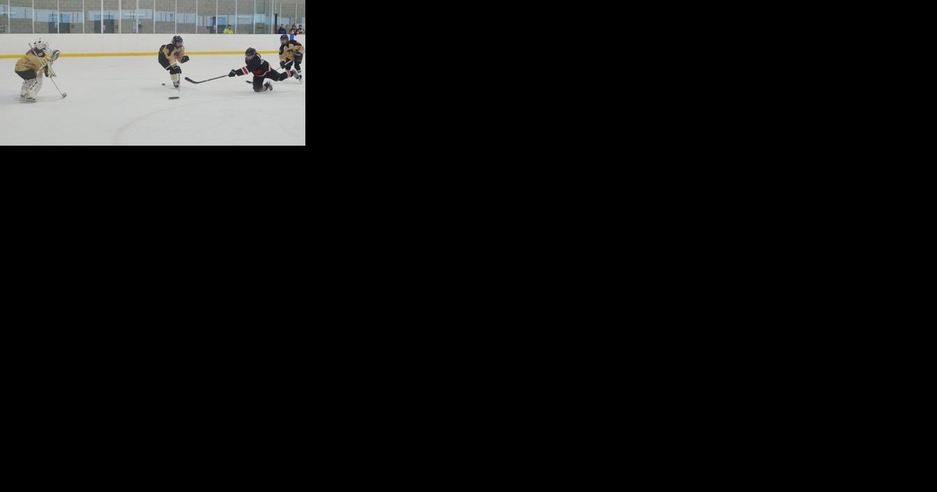 Hamilton prepares to upgrade Chedoke Twin Pad Arena - Vimarsana News