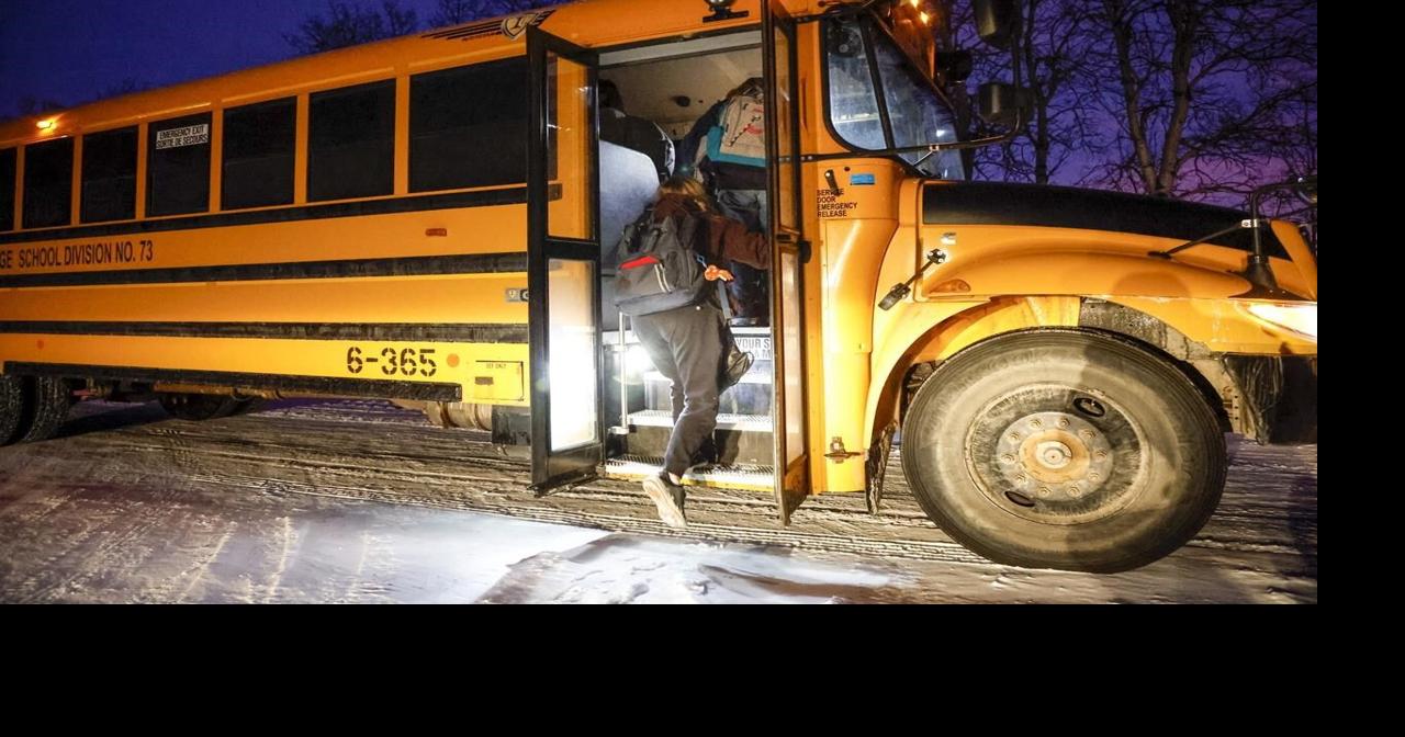 Alberta school bus driver ticketed after crash sends 5 children, 2 ...