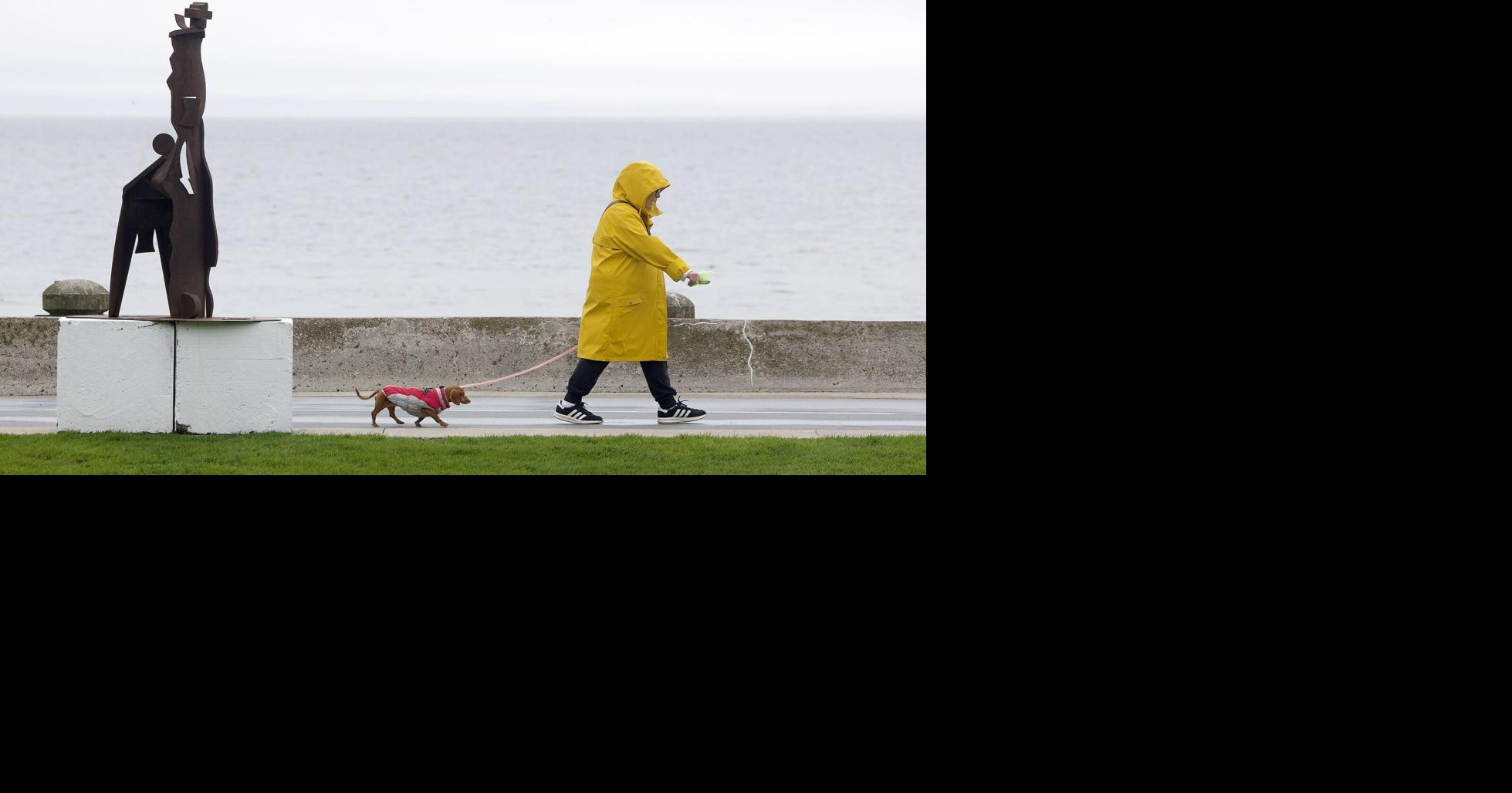 Hamilton under severe thunderstorm watch