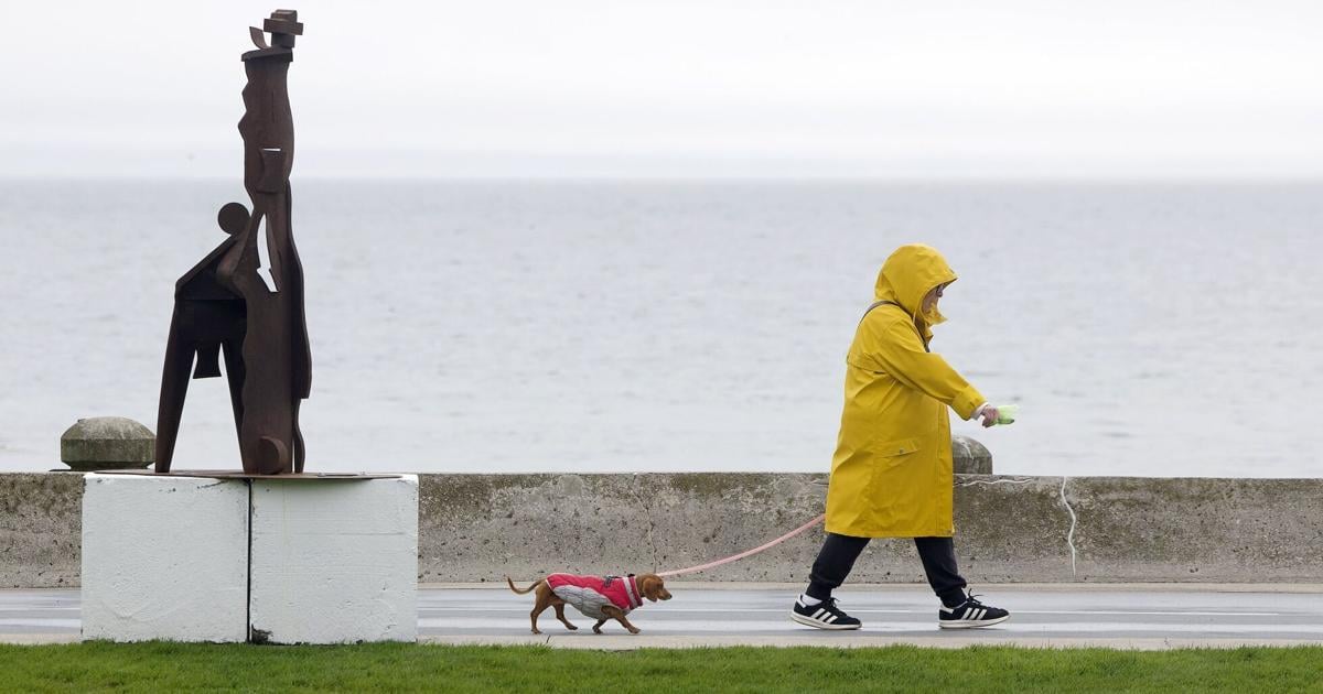 Hamilton under severe thunderstorm watch