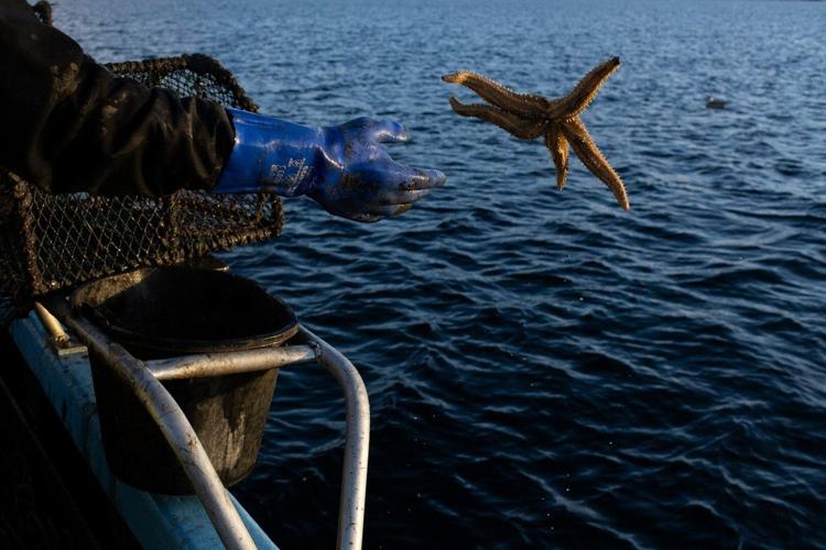 In Scotland, fishing trawlers scrape the seabed despite protection promises