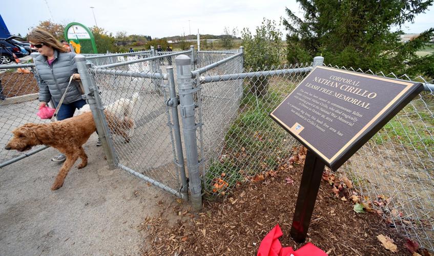 City investigating potential pollution in creek at dog park