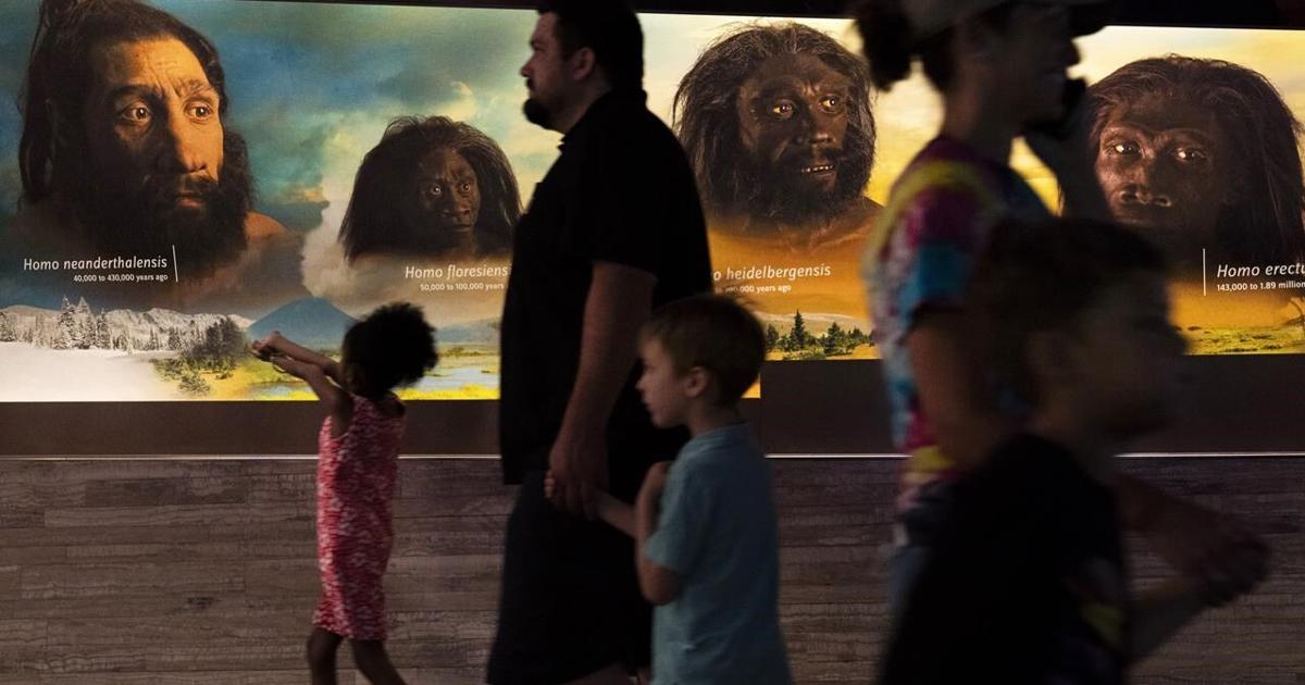 Extinct Genetics We carry DNA from extinct cousins like Neanderthals. Science is now ...