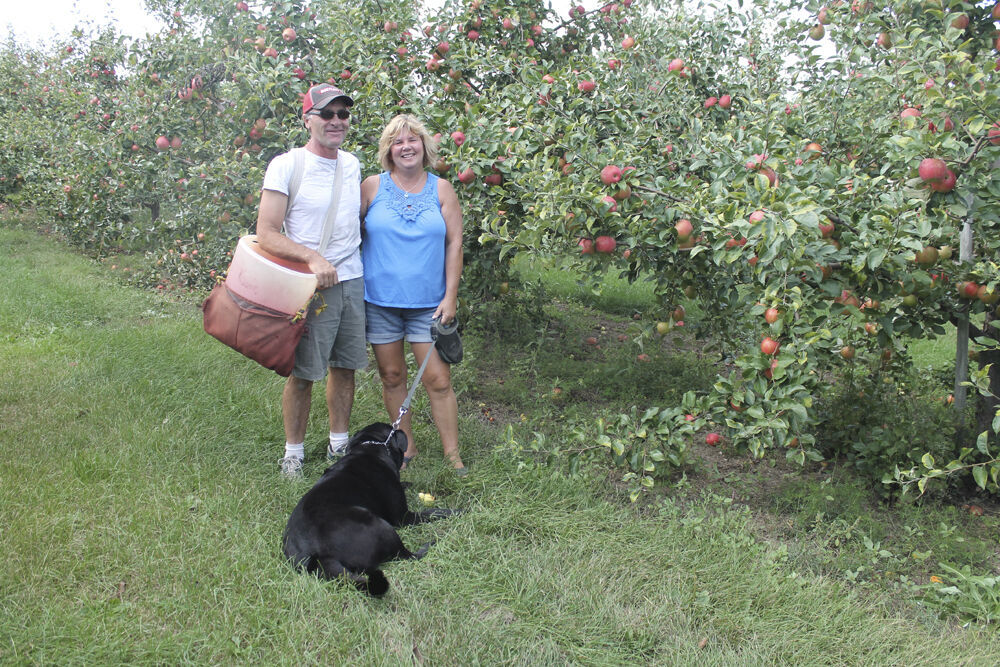 Fletcher’s Fruit Farm celebrates 150 years