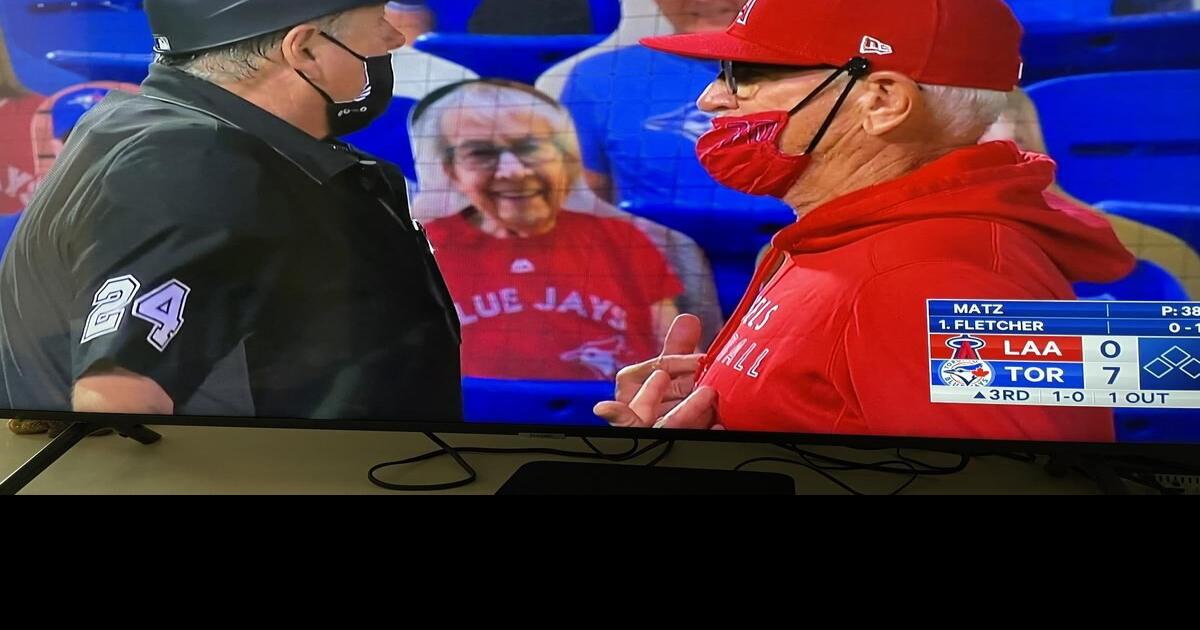 This Ancaster baseball Granny is the newest two dimensional Blue
