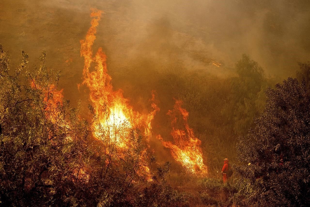 Fire Officials Describe Harrowing Conditions As Southern California ...