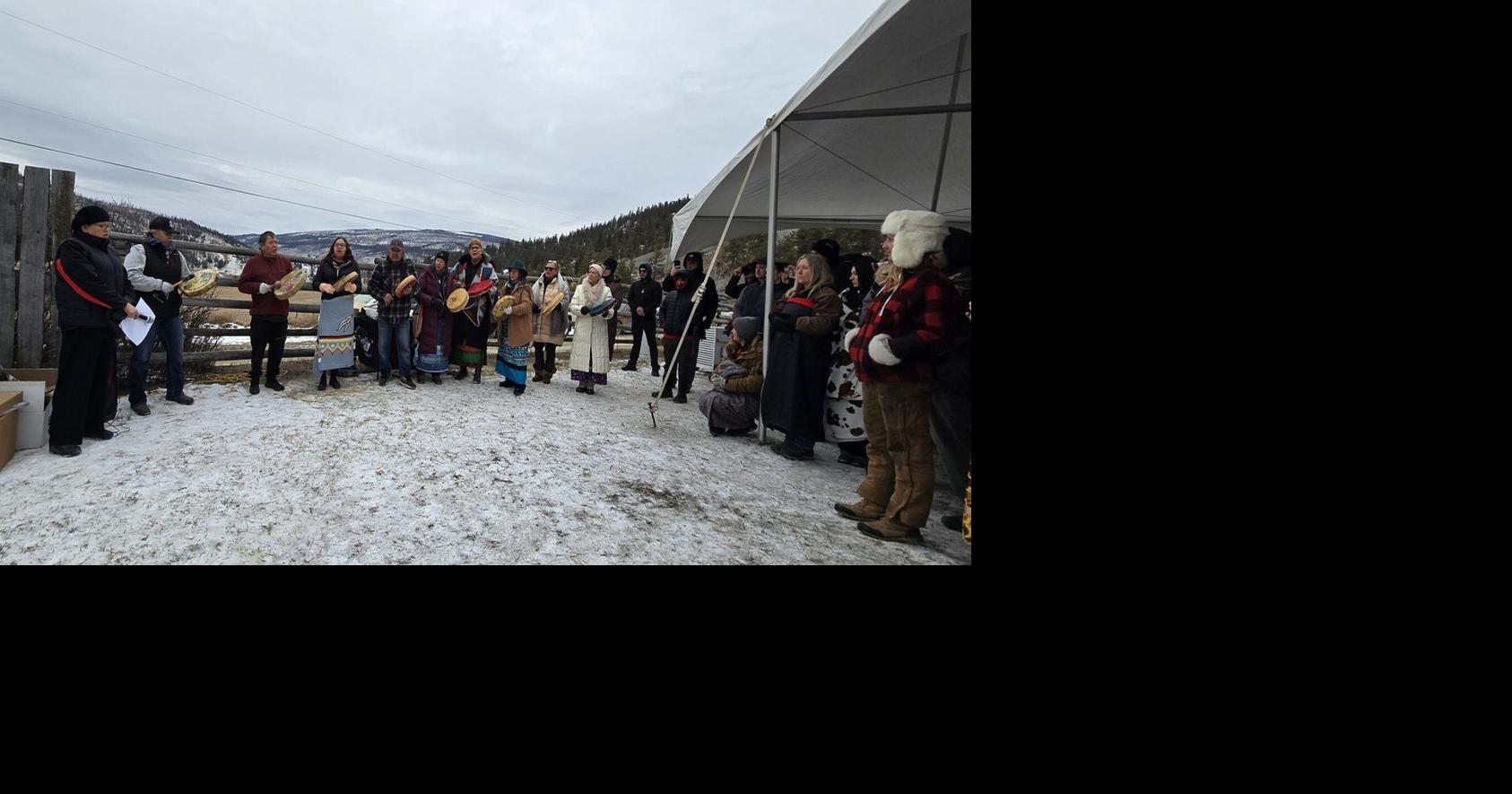 In Secwepemcúl’ecw, a bighorn sheep herd too small to survive gets a second chance