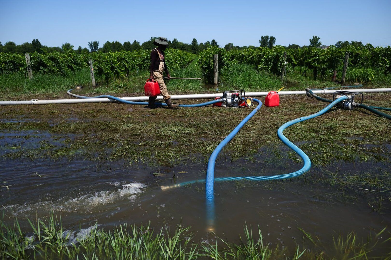 Ontario wine country cleans up after flood as Ford visits communities under emergency