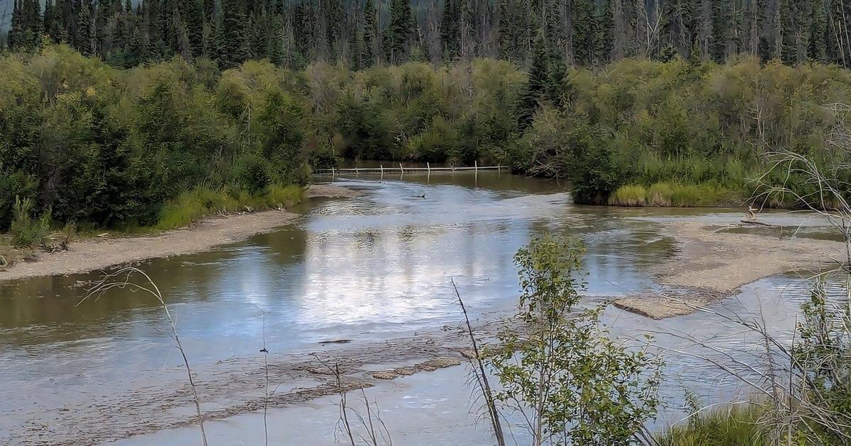 First Nation Disaster Yukon First Nation calls for accountability over mine disaster