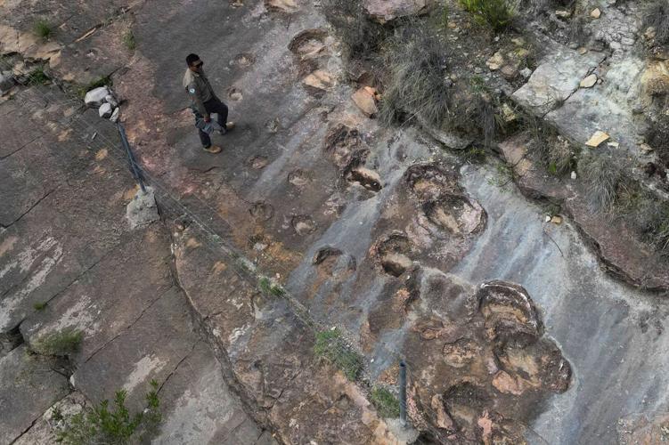 16-000-fossil-footprints-in-central-bolivia-reveal-dinosaur-behavior