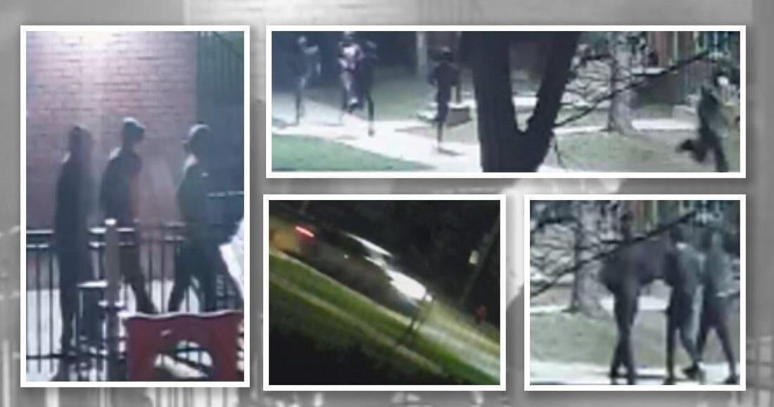 Hamilton police looking for ‘multiple suspects’ in Martha Street shooting