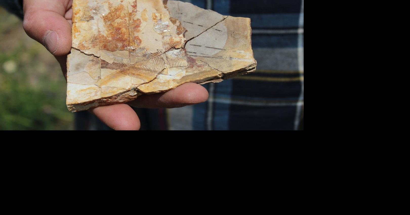 Secwépemc stewardship reshapes 53-million-year-old forest