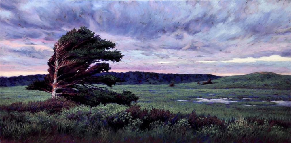 DVSA Art Auction: Getting to the art of the matter